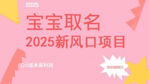 2025新风口项目宝宝取名，0成本高利润，附保姆级教程，月入过万不是梦-极速轻创