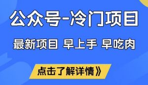 公众号冷门赛道，早上手早吃肉，单月轻松稳定变现1W【揭秘】-极速轻创