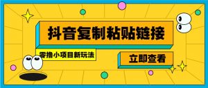 零撸小项目，新玩法，抖音复制链接0.07一条，20秒一条，无限制。-极速轻创