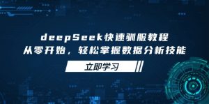 deepSeek快速驯服教程，从零开始，轻松掌握数据分析技能-极速轻创