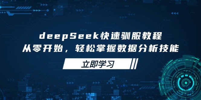 deepSeek快速驯服教程，从零开始，轻松掌握数据分析技能-极速轻创