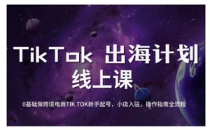 TikTok跨境电商新手起号与运营全攻略，0基础做跨境电商TIKTOK新手起号，小店入驻，操作指南全流程-极速轻创