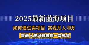2025蓝海项目，普通人如何通过卖项目，实现月入过W，全过程【揭秘】-极速轻创