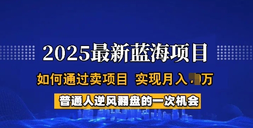 2025蓝海项目，普通人如何通过卖项目，实现月入过W，全过程【揭秘】-极速轻创