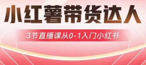 小红薯达人带货启航计划，3节直播课从0-1入门小红书-极速轻创