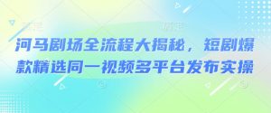 河马剧场全流程大揭秘，短剧爆款精选同一视频多平台发布实操-极速轻创