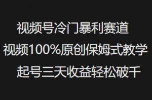 视频号冷门暴利赛道视频100%原创保姆式教学起号三天收益轻松破千-极速轻创