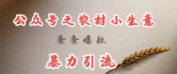 deepseek写农村小项目，条条爆款，暴力引流-极速轻创