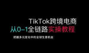TikTok跨境电商从0-1全链路全方位实操教程，把握多元变化中的全球生意机会-极速轻创