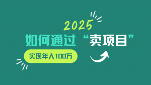 2025年如何通过“卖项目”实现年入100w-极速轻创
