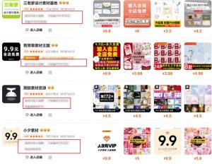 0成本虚拟项目实战手把手教你落地，单店月入5k-极速轻创