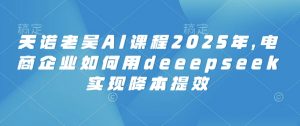 天诺老吴AI课程2025年，电商企业如何用deeepseek实现降本提效-极速轻创