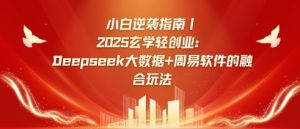 小白逆袭指南，2025玄学轻创业：Deepseek大数据+周易算法的融合玩法-极速轻创