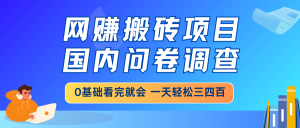 网赚搬砖项目，国内问卷调查，0基础看完就会 一天轻松三四百，靠谱副业...-极速轻创