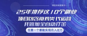 25年推荐这10个副业项目包含褂鸡类、代运营托管类、全自动打金类【揭秘】-极速轻创