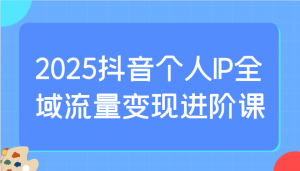 2025抖音个人IP全域流量变现进阶课：选爆品、抖音付费投流、千川投流实操及优化等-极速轻创