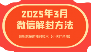 2025年3月微信解封方法 最新跳辅助核对技术【小伙伴亲测】-极速轻创