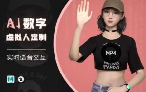 Ai数字人虚拟(智能体)实时语音交互特训营，​自行定制超写实角色AI数字人交互技术-极速轻创