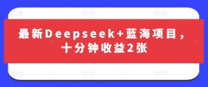 最新Deepseek+蓝海项目，十分钟收益2张-极速轻创