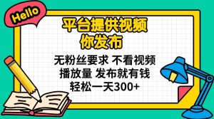 平台提供视频 你发布 无粉丝要求 不看视频播放量 发布就有钱 轻松一天300+-极速轻创