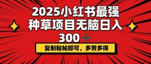 2025小红书最强种草项目，无脑日入300+，复制粘帖即可，多劳多得-极速轻创