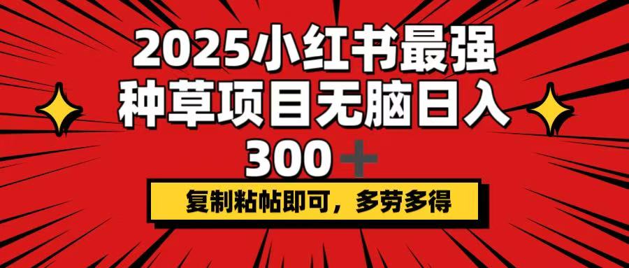 2025小红书最强种草项目，无脑日入300+，复制粘帖即可，多劳多得-极速轻创