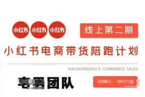 小红书电商带货课2期，月利润20个的小红书电商的有货源，无货源，虚拟产品，付费投流等整套玩法-极速轻创