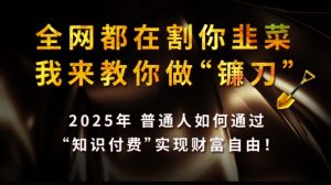 全网都在割你韭菜，我来教你做镰刀,2025普通人如何通过知识付费，实现财F自由【揭秘】-极速轻创