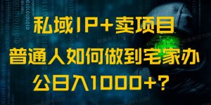 私域IP+卖项目，普通人如何做到宅家办公实现日入1000+-极速轻创