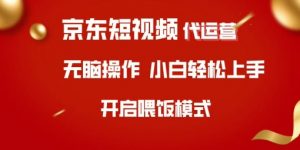 京东短视频代运营，全程喂饭，小白轻松上手【揭秘】-极速轻创