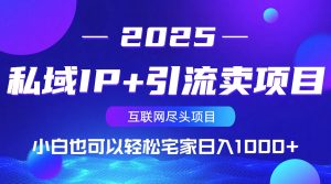 私域IP+引流卖项目，小白也可以做到轻松宅家日入1000+-极速轻创