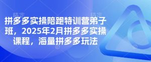 拼多多实操陪跑特训营弟子班，2025年2月拼多多实操课程，海量拼多多玩法-极速轻创