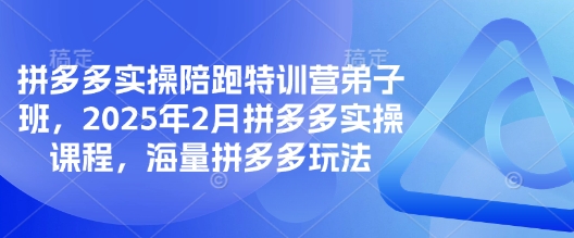 拼多多实操陪跑特训营弟子班，2025年2月拼多多实操课程，海量拼多多玩法-极速轻创