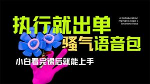 爆火全网的开车导航骚气语音包,只要执行就出单，小白看完课程就能实操...-极速轻创