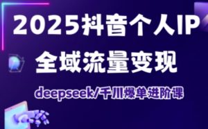 2025抖音个人IP全域流量变现进阶课，deepseek千川爆单进阶课-极速轻创