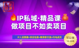 2025年“IP私域·密训精品课”，日赚3000+小白避坑年赚百万，暴力引流...-极速轻创