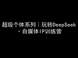 超级个体系列，玩转DeepSeek·自媒体IP训练营，deepseek教程-极速轻创