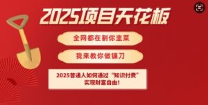 2025项目天花板普通人如何通过知识付费，实现财F自由【揭秘】-极速轻创