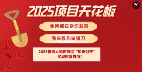 2025项目天花板普通人如何通过知识付费，实现财F自由【揭秘】-极速轻创
