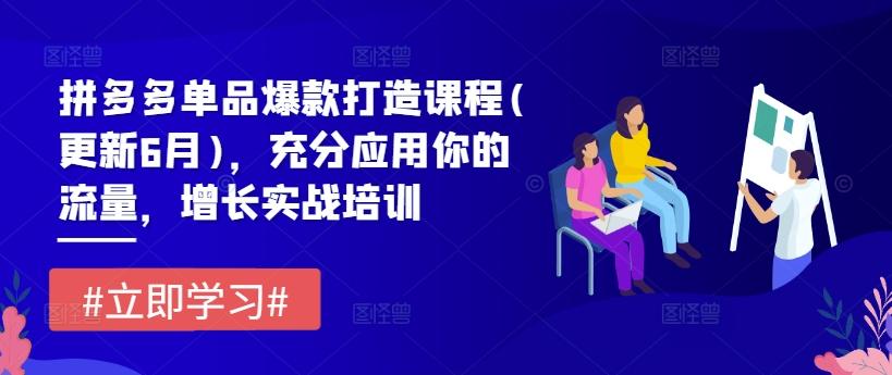 拼多多单品爆款打造课程(更新6月)，充分应用你的流量，增长实战培训-极速轻创