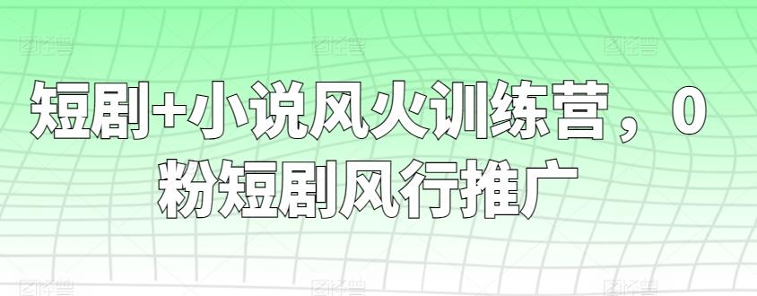 短剧+小说风火训练营，0粉短剧风行推广-极速轻创