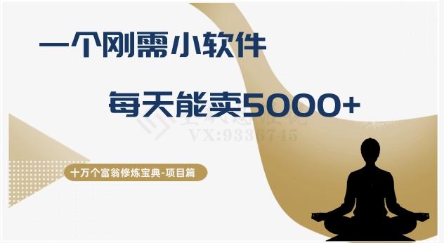 十万个富翁修炼宝典之17.一个刚需小软件，每天能卖5000+-极速轻创