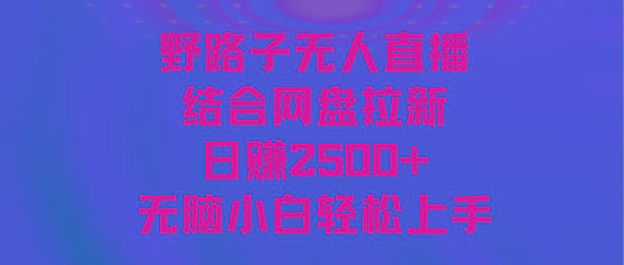 无人直播野路子结合网盘拉新，日赚2500+多平台变现，小白无脑轻松上手操作-极速轻创