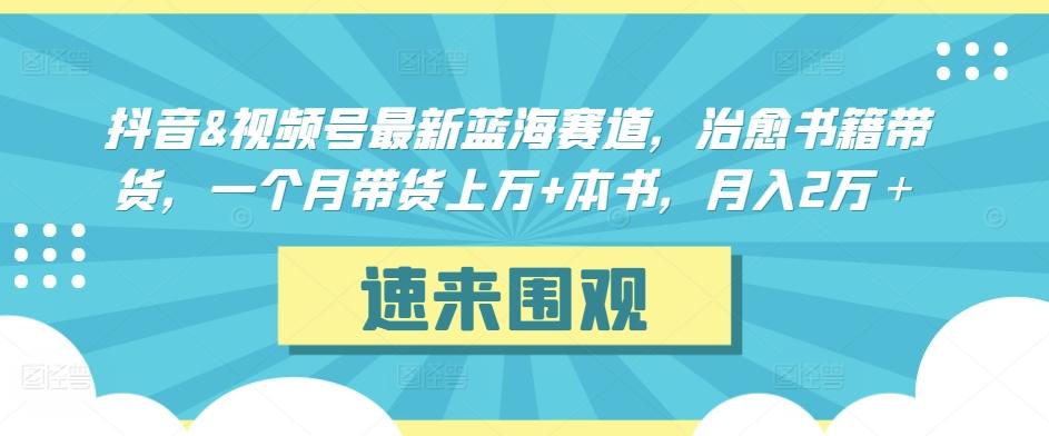 抖音&视频号最新蓝海赛道，治愈书籍带货，一个月带货上万+本书，月入2万＋【揭秘】-极速轻创