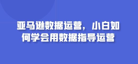 亚马逊数据运营，小白如何学会用数据指导运营-极速轻创
