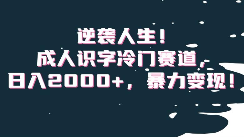 逆袭人生！成人识字冷门赛道，日入2000+，暴力变现！【揭秘】-极速轻创