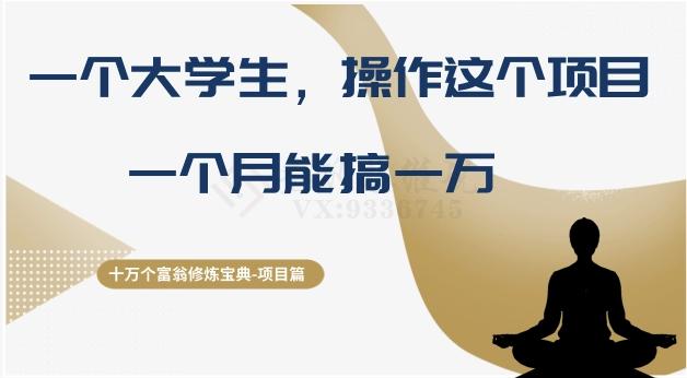 十万个富翁修炼宝典之4.一个大学生操作这个项目，一个月能搞一万-极速轻创