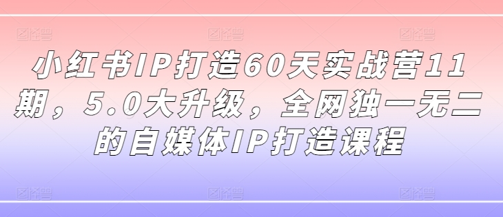 小红书IP打造60天实战营11期，5.0大升级，全网独一无二的自媒体IP打造课程-极速轻创