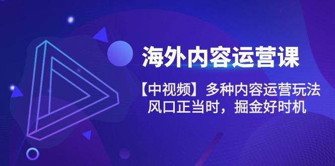 海外内容 运营课【中视频】多种内容运营玩法 风口正当时 掘金好时机-101节-极速轻创