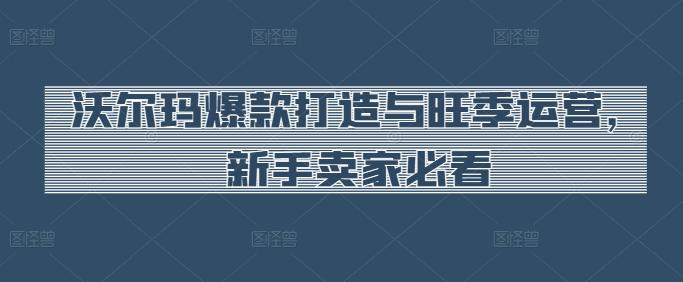 沃尔玛爆款打造与旺季运营，新手卖家必看-极速轻创